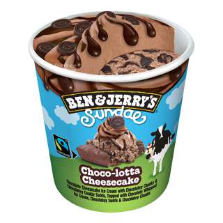 Ben & Jerry's Ice Cream - Choco-lotta Cheesecake Sundae