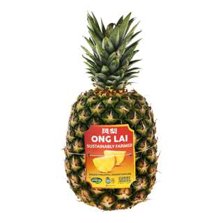 Sunpride Indonesia Honey Pineapple