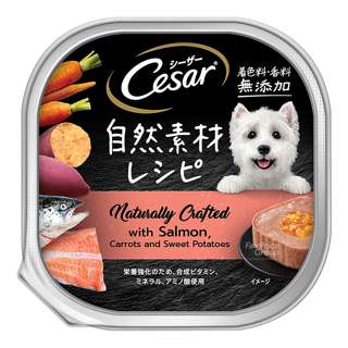 Cesar Dog Wet Food - Salmon Sweet Potato & Carrot