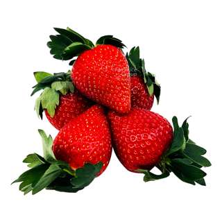 Driscoll's China Strawberry (XL)