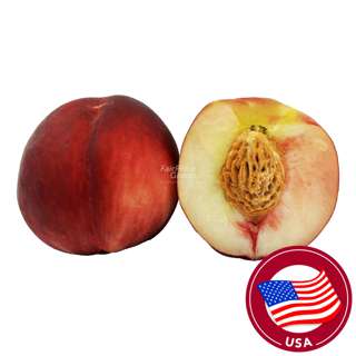USA Premium Peach XL