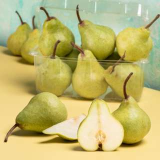 Packham Pears