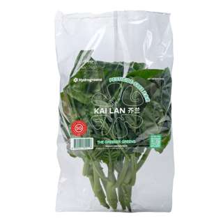 Hydrogreen SG Kai Lan