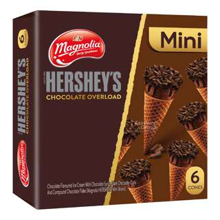 Magnolia Ice Cream Cone - Hershey's Chocolate Overload (Mini)
