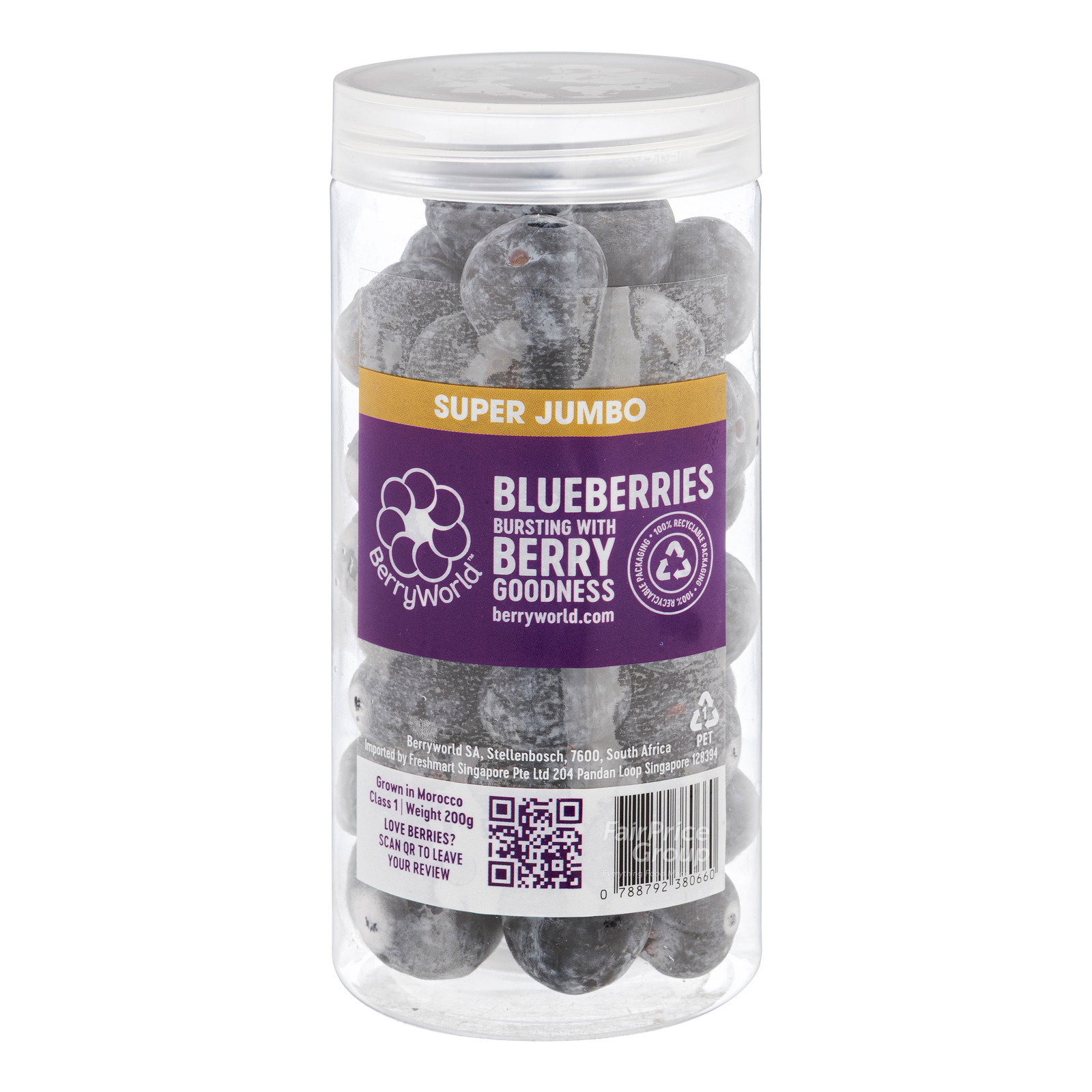 Berryworld Morocco Super Jumbo Blueberry