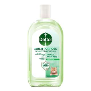 Dettol Multi-Purpose Disinfectant Liquid - Tea & Fresh Citrus Dettol Multi-Purpose Disinfectant Liquid - Tea & Fresh Citrus