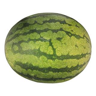 Malaysia Red Seedless Watermelon Malaysia Red Seedless Watermelon