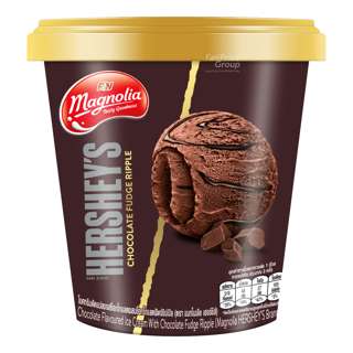 Magnolia Ice Cream - Hershey's Chocolate Fudge Ripple