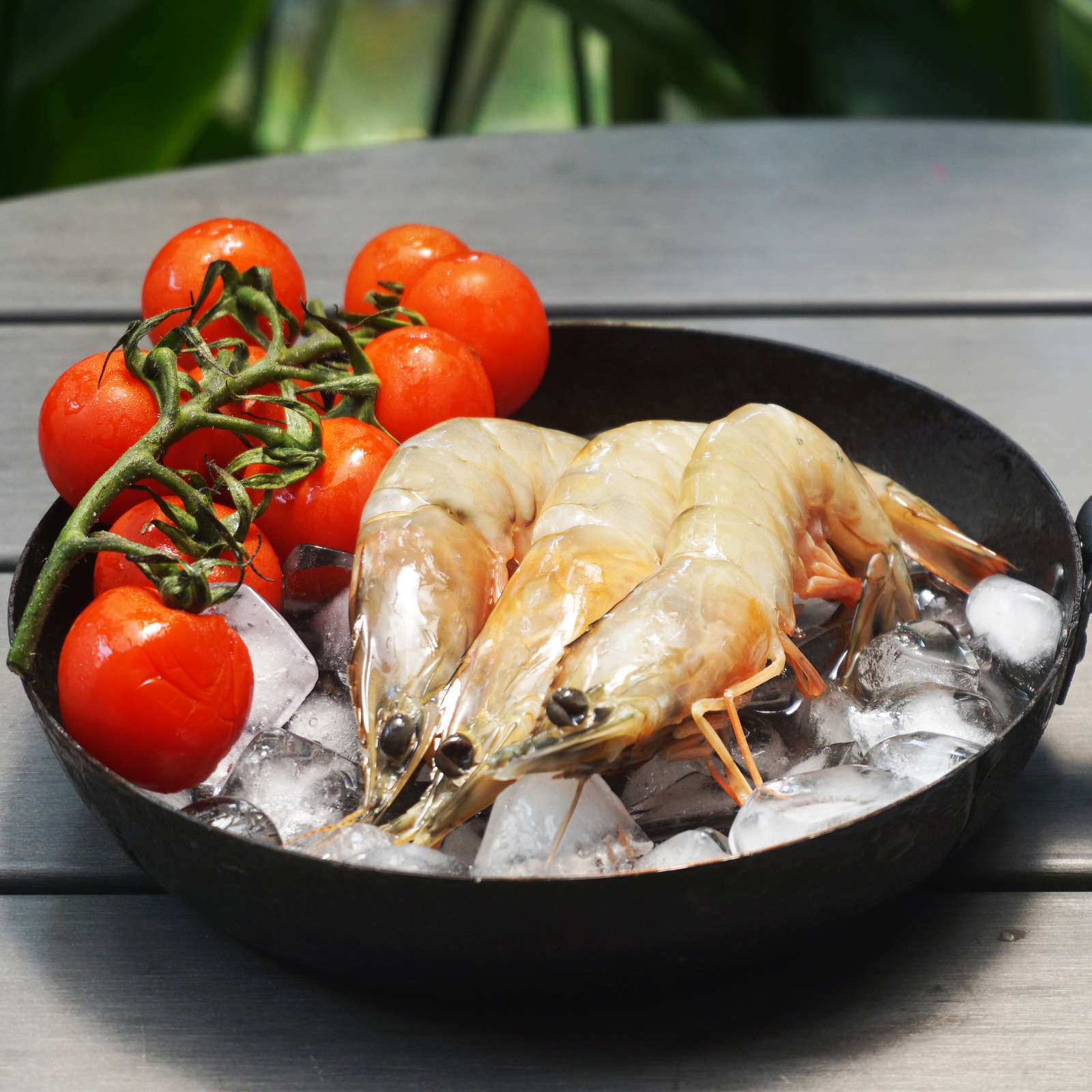 Catch Seafood Live frozen Medium Prawns Head On Shell On (Frozen)