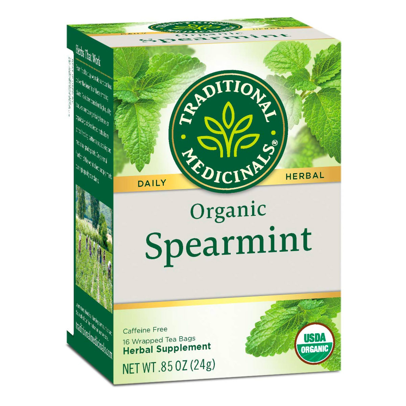 Traditional Medicinals Organic Spearmint 16 Teabag NTUC FairPrice 