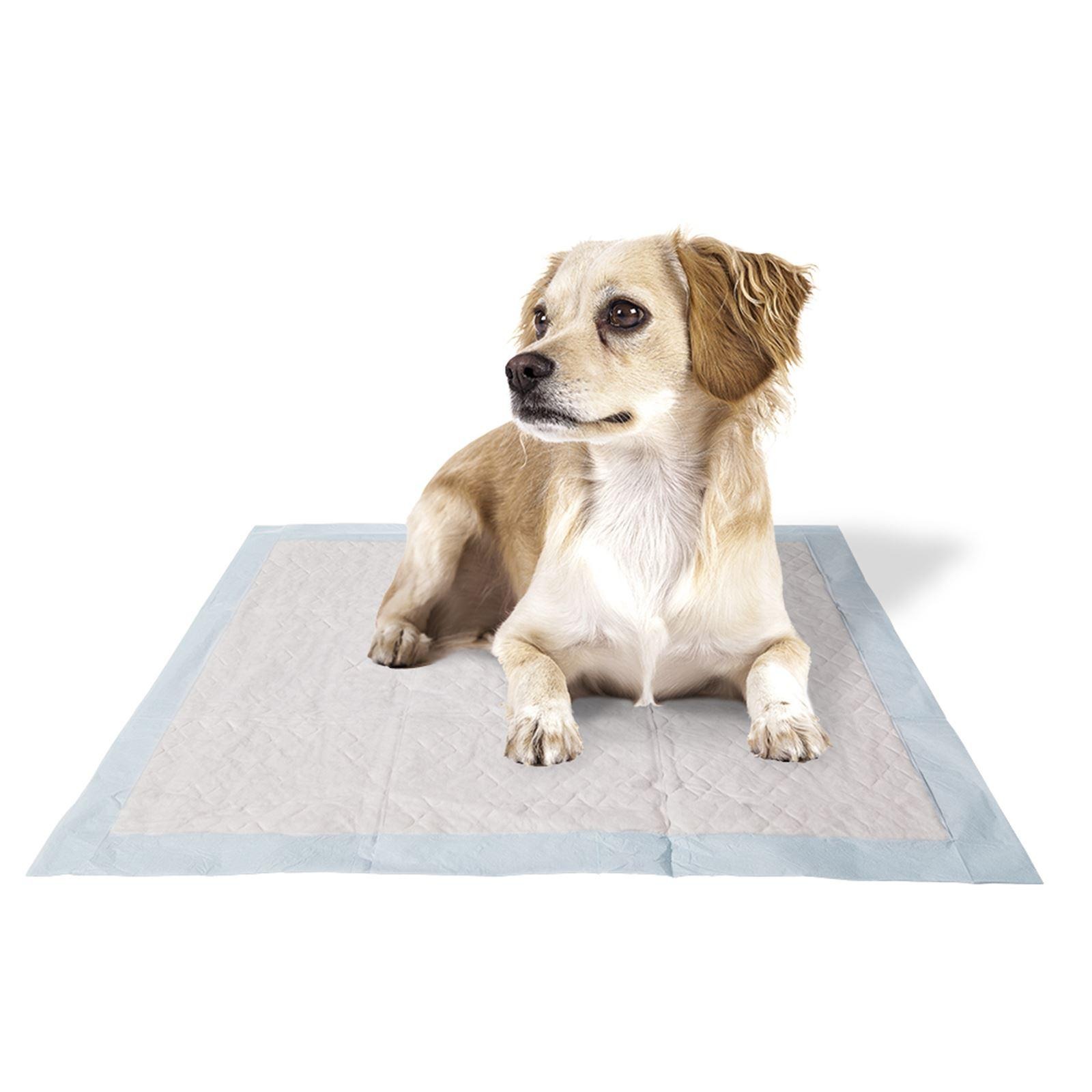 Ferplast Genico 60x60cm M Pads (X10)
