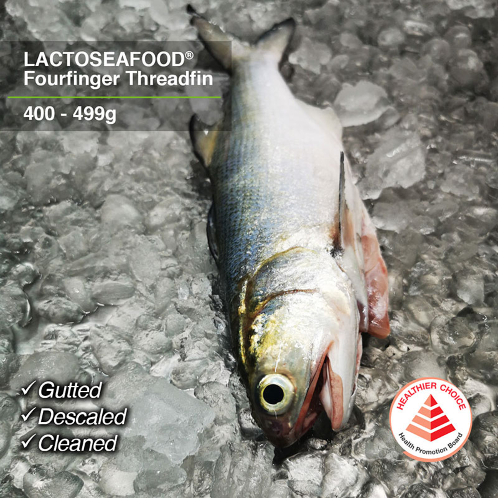 LACTOSEAFOOD Fourfinger Threadfin 400499g NTUC FairPrice