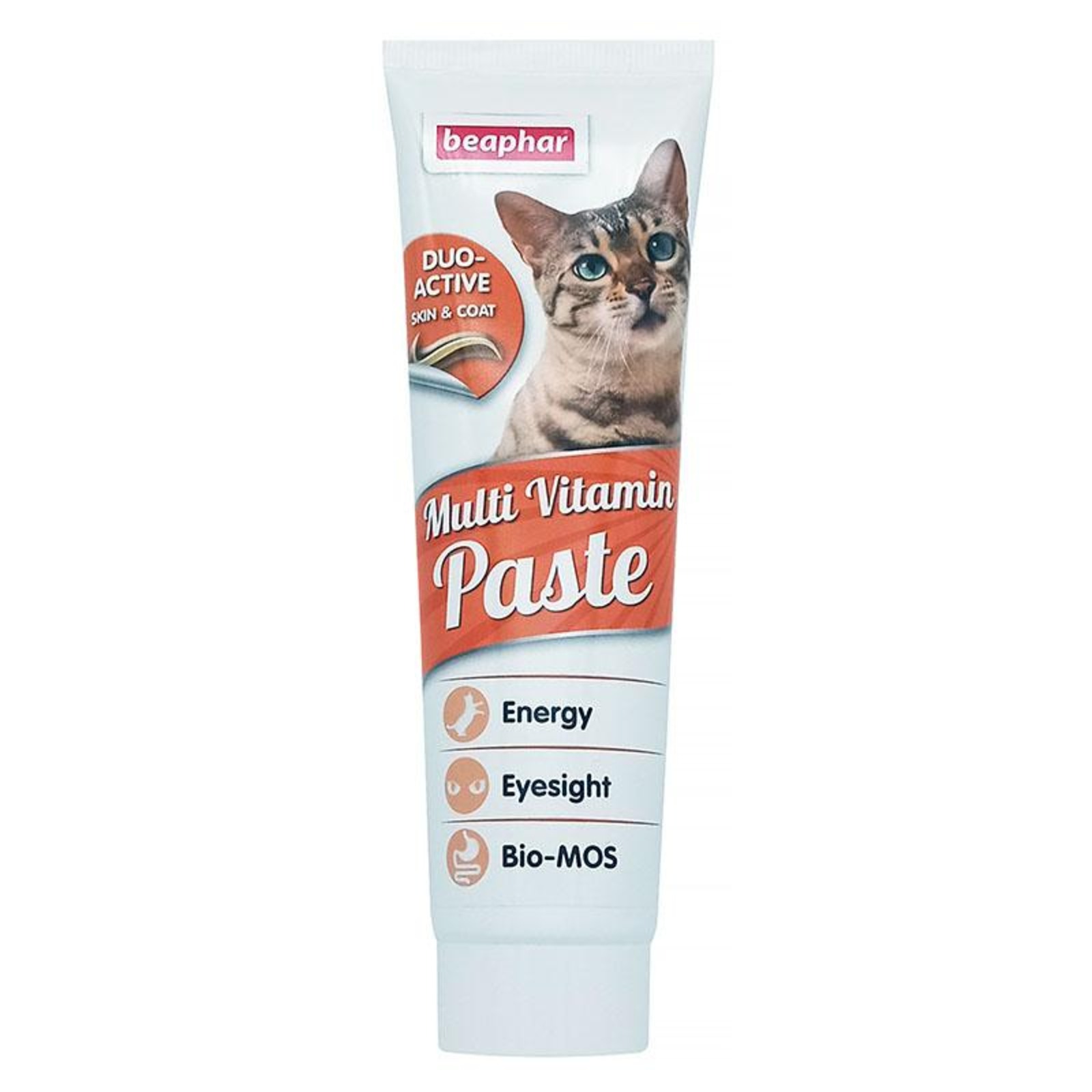 Beaphar Duoactive Multi Vitamin Paste for Cats NTUC FairPrice