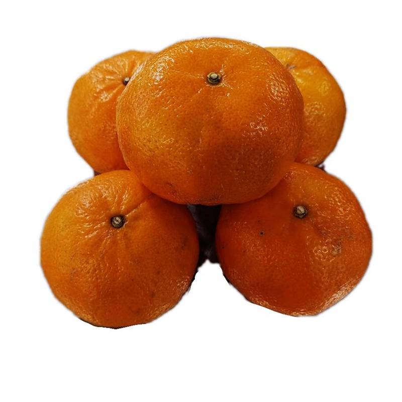 XiaoSan Mandarin Orange NTUC FairPrice