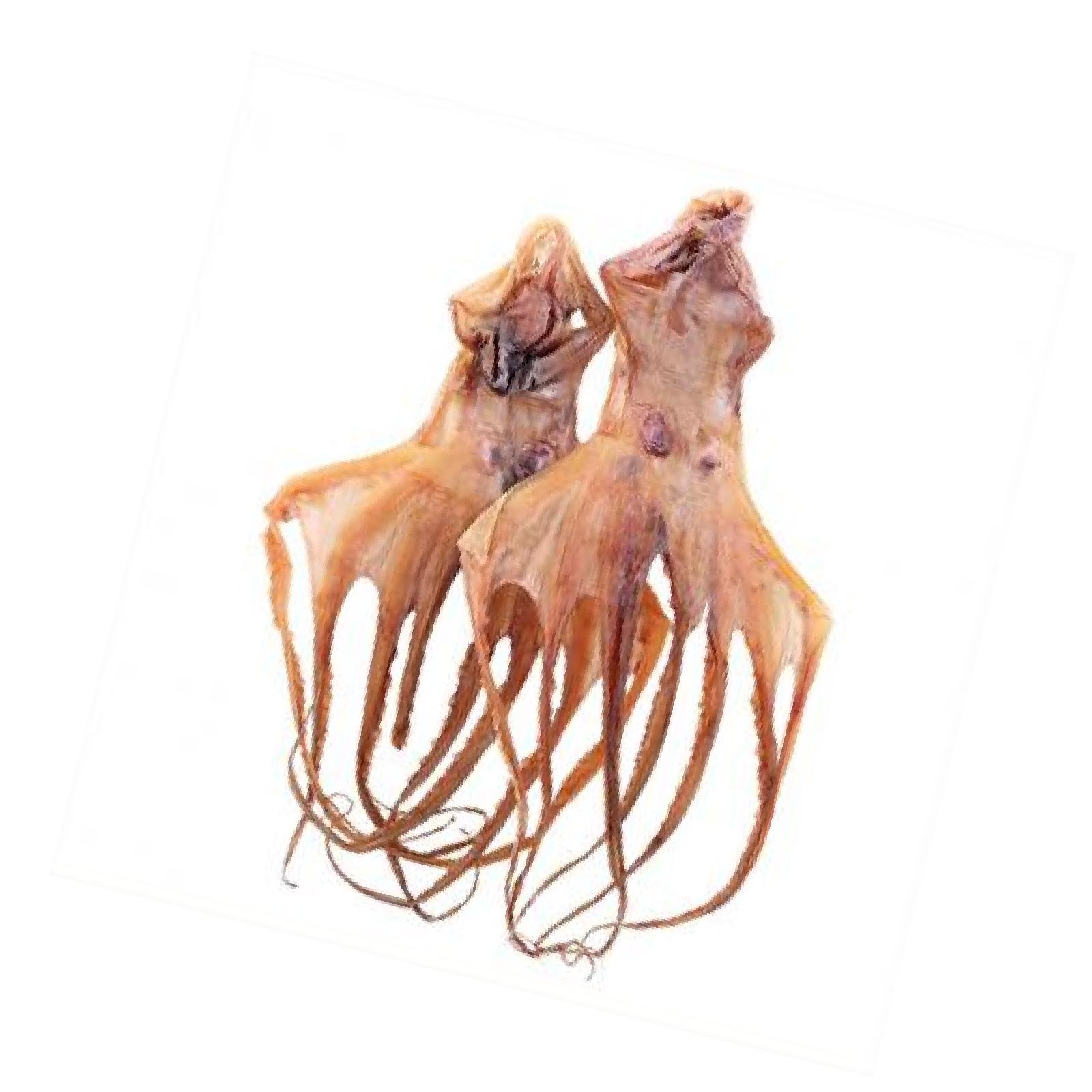 Prestigio Delights Dried Octopus NTUC FairPrice