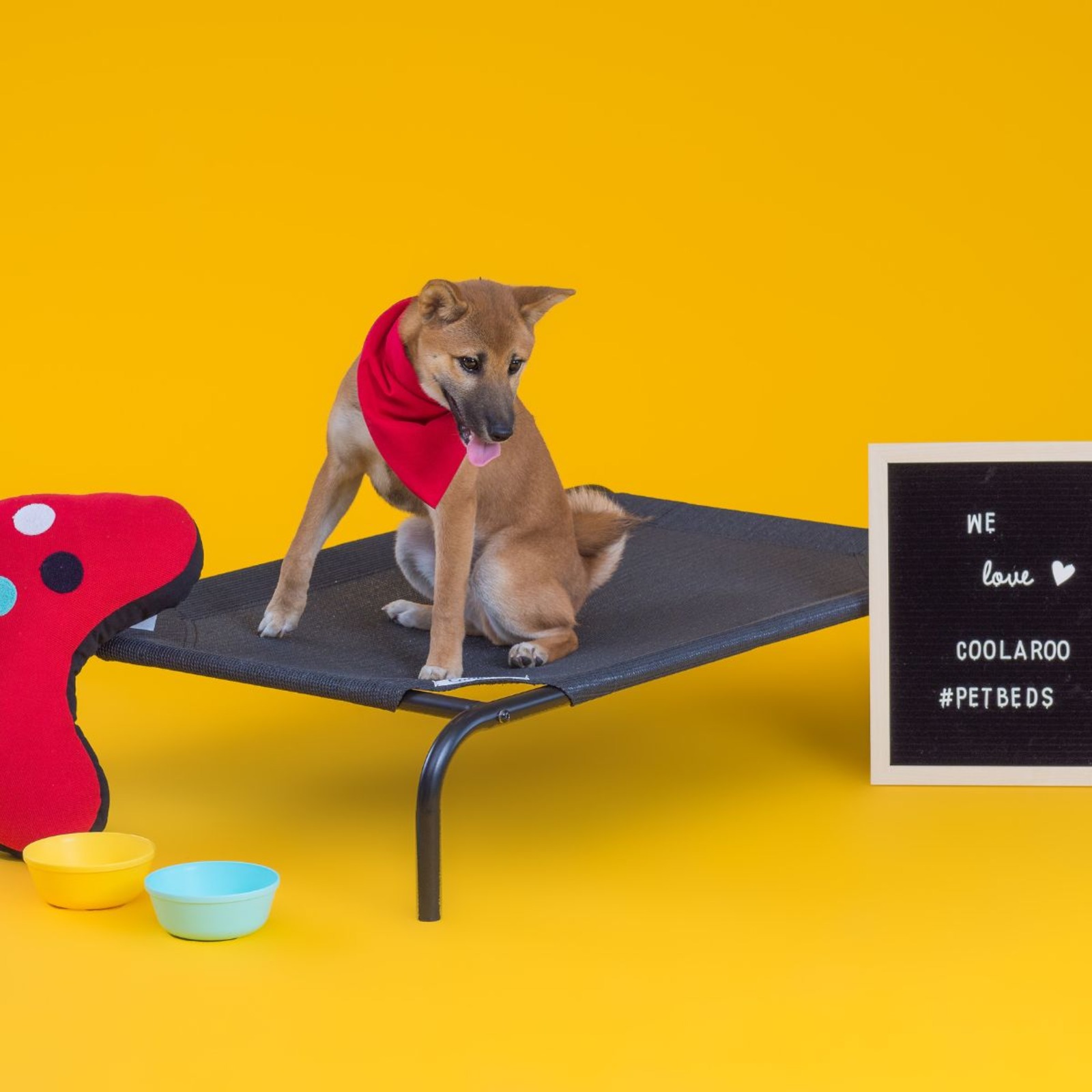 Coolaroo Pet Bed Medium 107 X 65 X 20 cm Nutmeg NTUC FairPrice