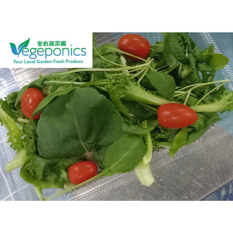Vegeponics Mesclun Salad NTUC FairPrice