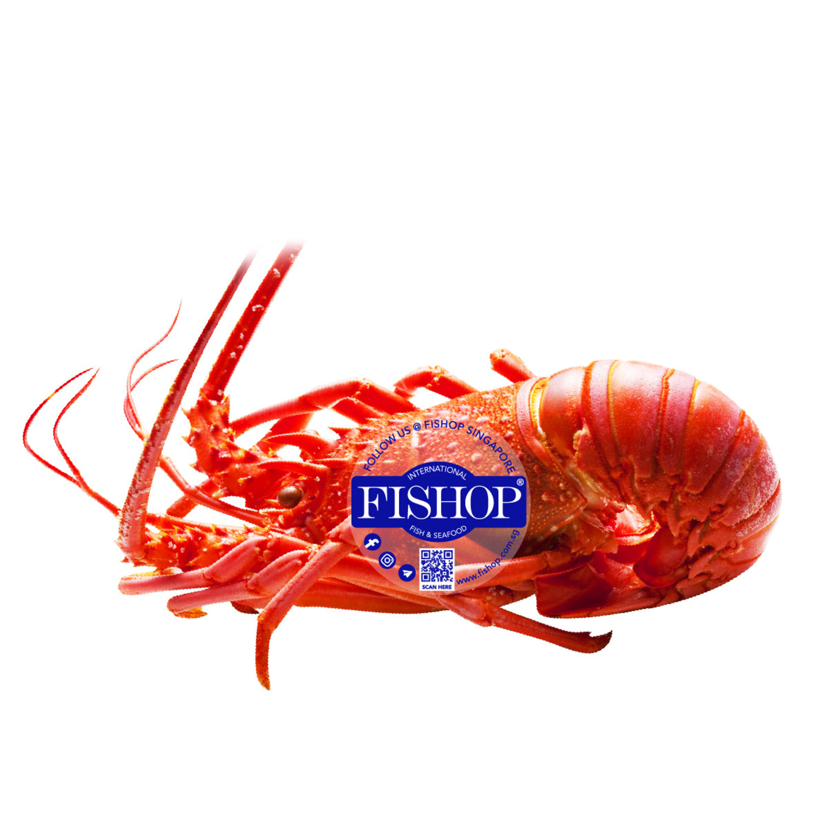 Frozen Australian Cooked Lobster NTUC FairPrice