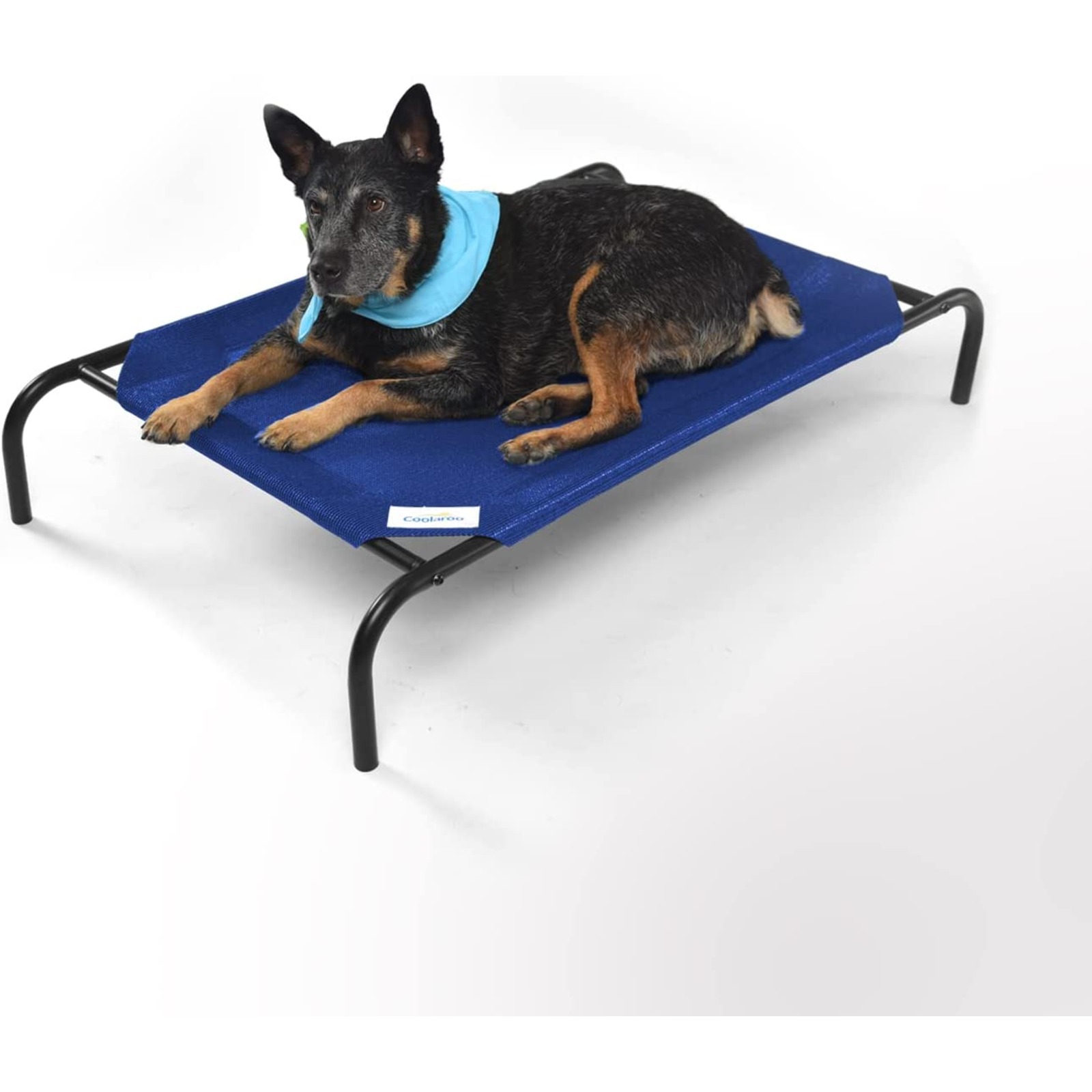 elevated dog bed with bolster