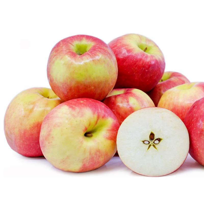 Orgo Fresh Crispy Pink Lady Apple NTUC FairPrice