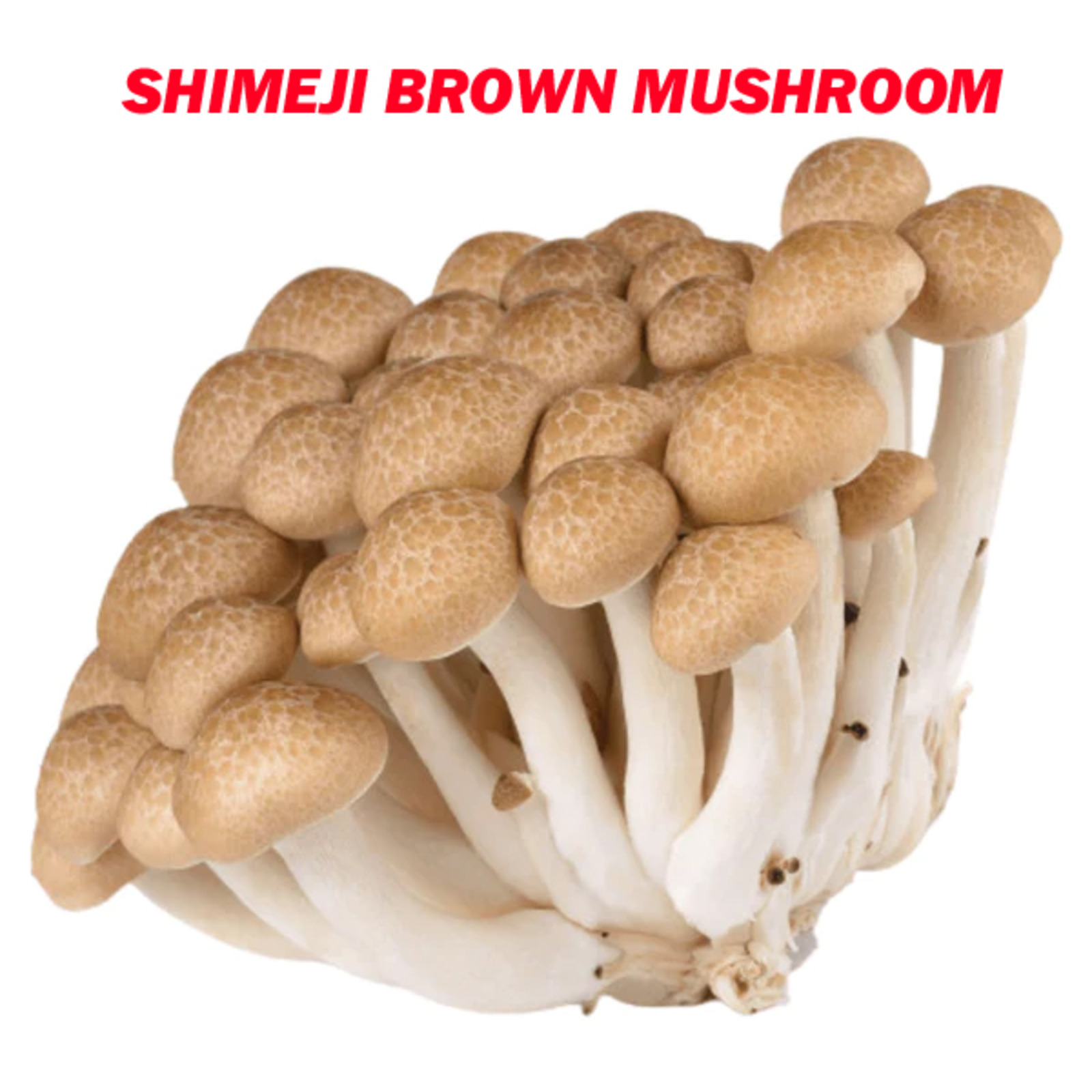 Orgo Fresh Shimeiji Brown Beech Mushroom NTUC FairPrice