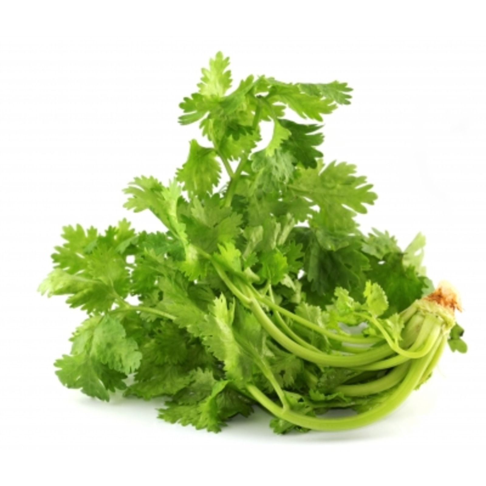 Thailand Coriander NTUC FairPrice