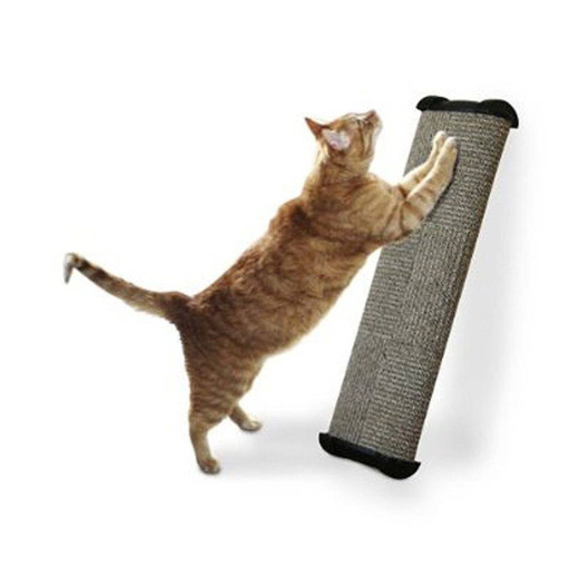 Omega Paw LeanIt Everywhere Scratch Post (Large) NTUC FairPrice