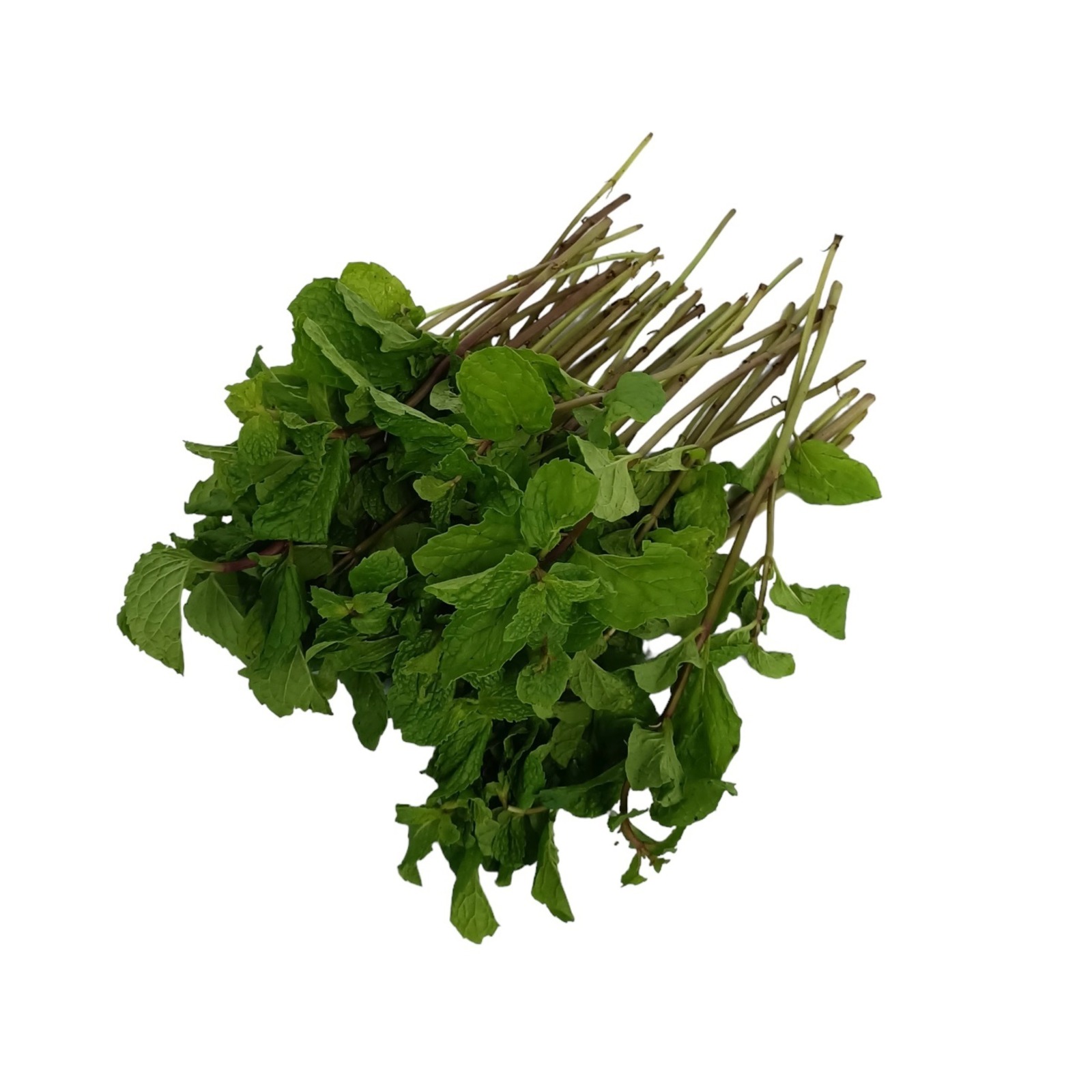 Yuan Zhen Yuan Mint Leaf NTUC FairPrice