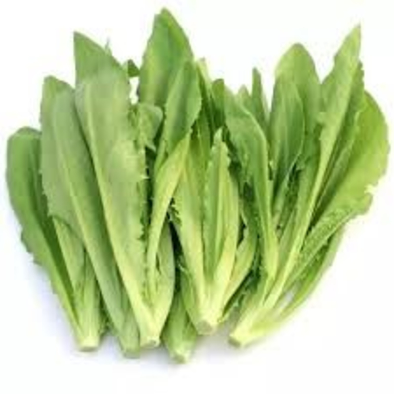 China You Mai Cai NTUC FairPrice