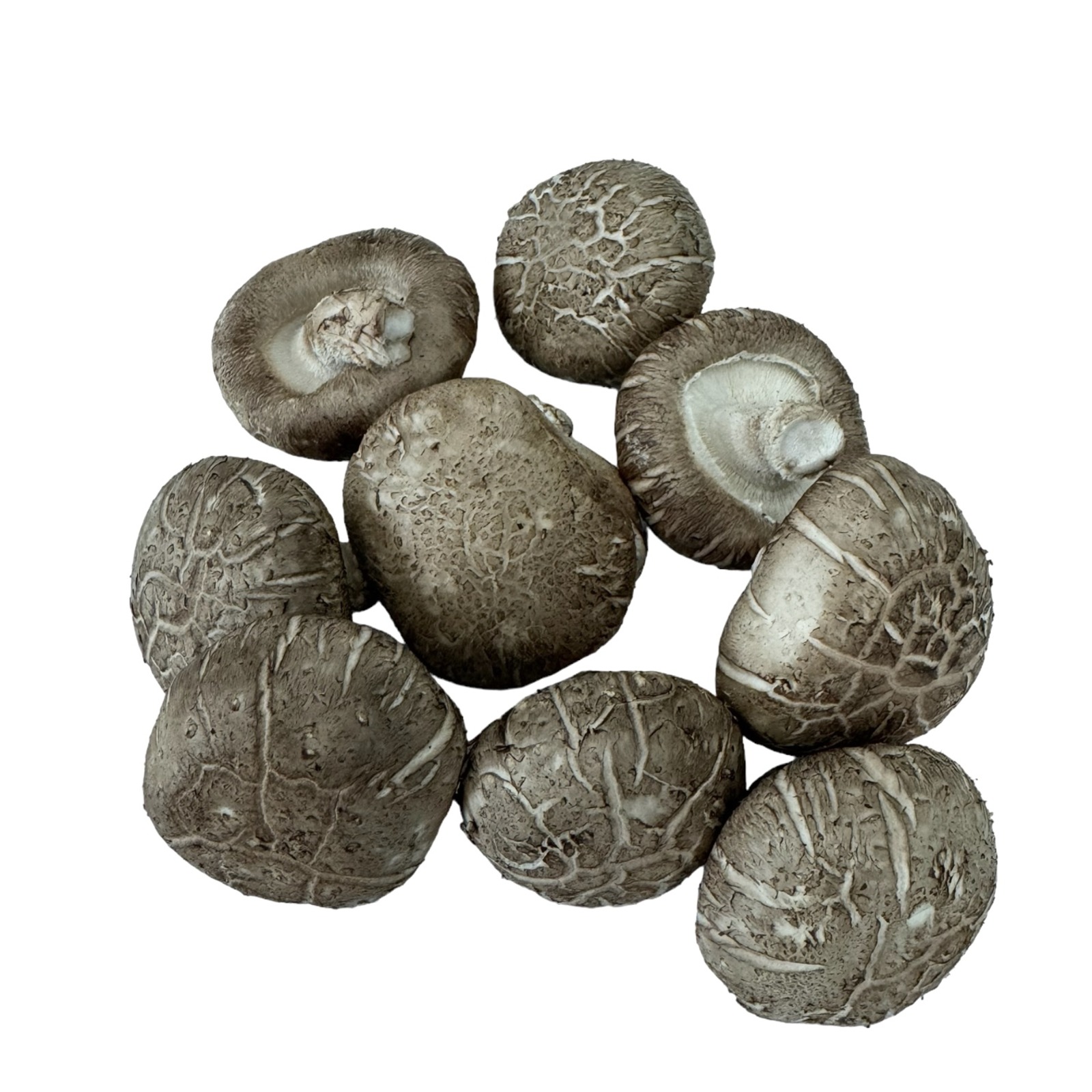 Yuan Zhen Yuan Shiitake Mushroom NTUC FairPrice