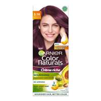 Garnier Hair Color