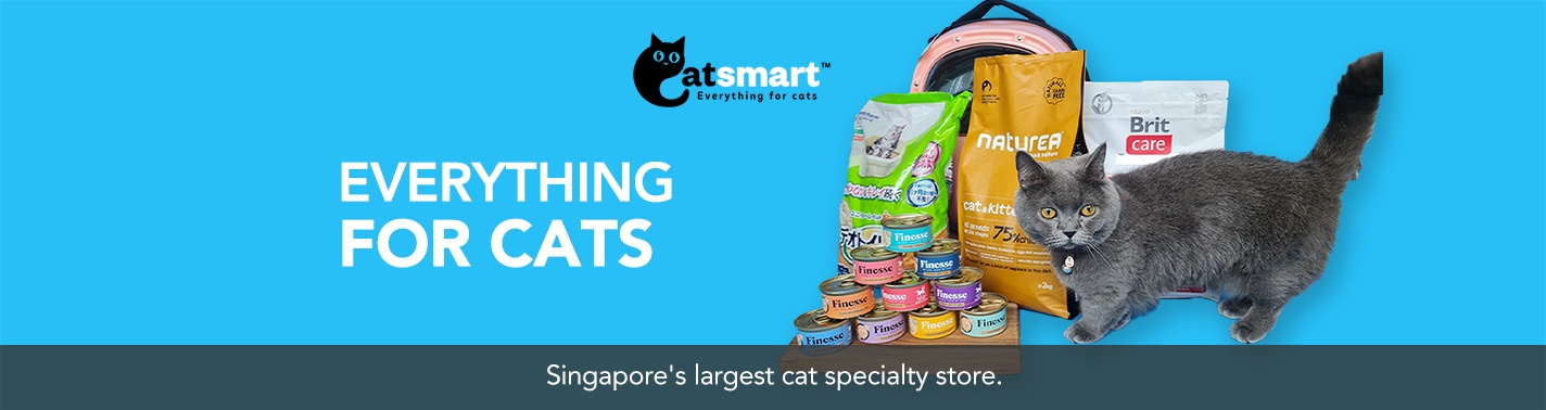 cat specialty store