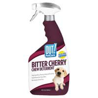 Dog Cleaning & Maintenance