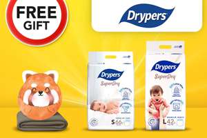 Free 2-in-1 Blanket Cushion