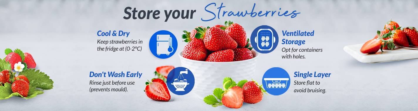 https://media.nedigital.sg/fairprice/images/9c312891-c9b8-4e61-9718-13c2584708ff/OG-StrawberryStoringGuide-LandingMainBanner-Nov2023.jpg