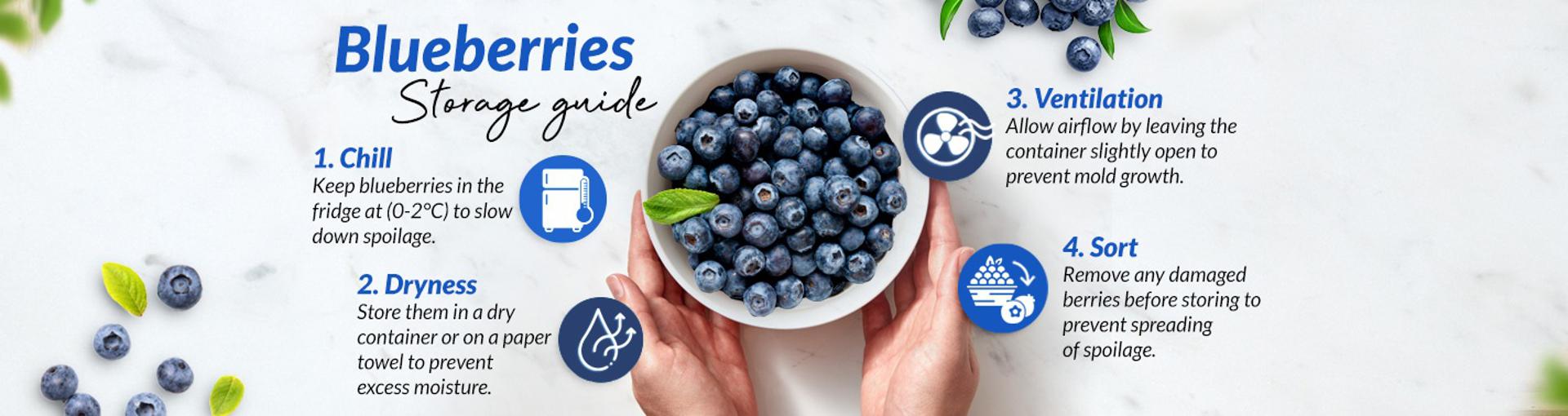 https://media.nedigital.sg/fairprice/images/ce09773d-dd4a-4012-8bff-ecd47b6dc056/OG-BlueberriesStorageGuide-LandingMainBanner-Nov2023.jpg