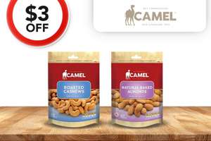Camel